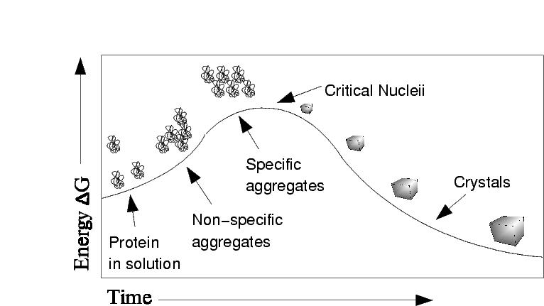 Phase Diagram