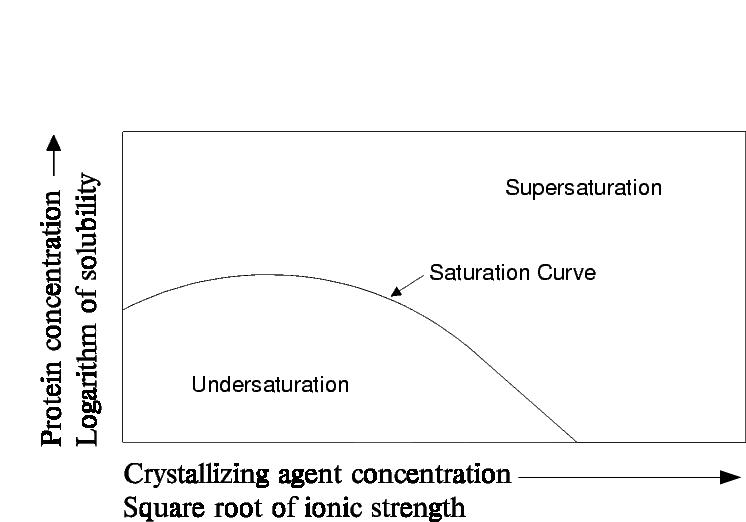 Phase Diagram